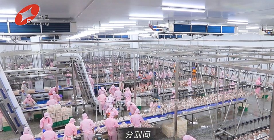 c83b9d22a2a79867.jpg_20240821171743_1920x0