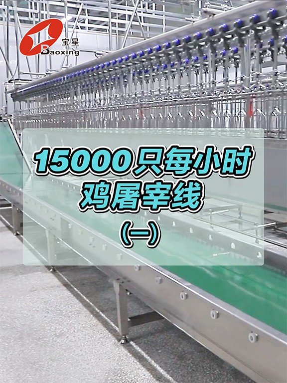 bb9650cc88bf9247.jpg_20260325090540_1920x0