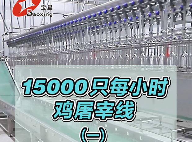 全自动家禽屠宰线，时宰 15000 羽，尺度化流程、高效干净、安全可控，一站式解决规；涝仔枰